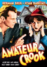 Plakat filmu Amateur Crook