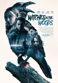 Plakat filmu Wiedźmy