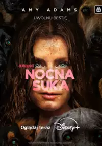 Plakat filmu Nocna suka