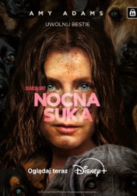 Nocna suka