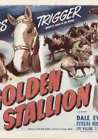 Plakat filmu The Golden Stallion