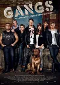 Plakat filmu Gangs 