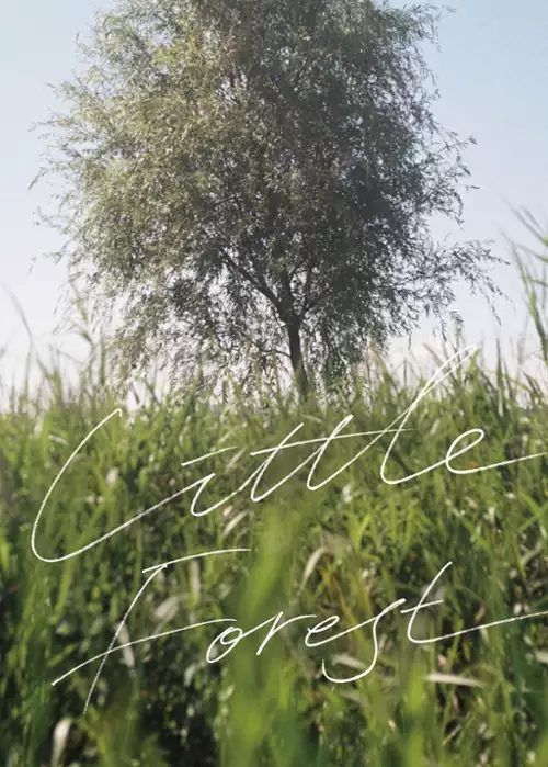 plakat filmu Kawałek ziemi