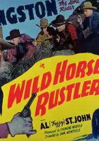 Plakat filmu Wild Horse Rustlers