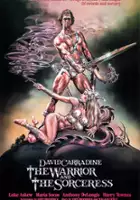 plakat filmu The Warrior and the Sorceress
