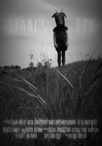 Plakat filmu Pani's Box