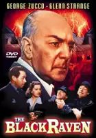 plakat filmu The Black Raven