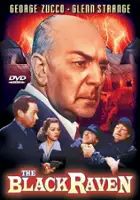 plakat filmu The Black Raven