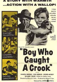 Plakat filmu Boy Who Caught a Crook