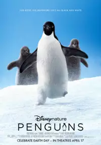 Plakat filmu Pingwiny