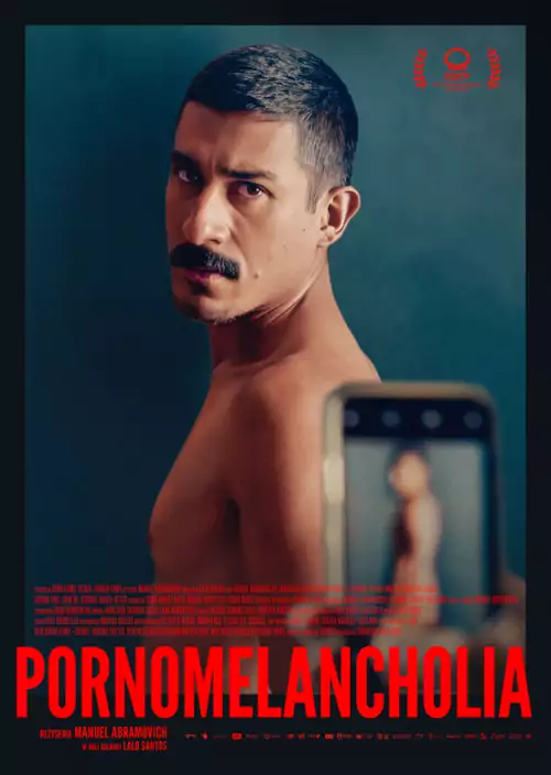 plakat filmu Pornomelancholia