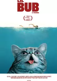 Plakat filmu Lil Bub & Friendz