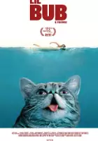 plakat filmu Lil Bub & Friendz