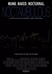 Plakat filmu Noctambulous