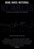 Shirley Dluginski / Noctambulous