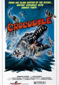 Plakat filmu Chorake
