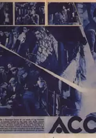 Plakat filmu Stal