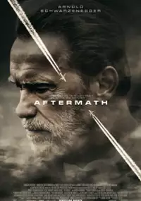 Plakat filmu Po katastrofie
