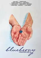 plakat filmu Blueberry