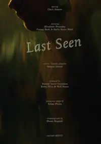 Plakat filmu Last Seen