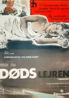 plakat filmu The Inspector