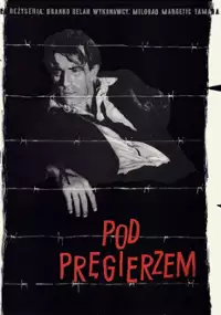 Plakat filmu Pod pręgierzem