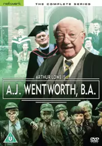 Plakat serialu A.J. Wentworth, BA