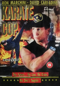 Plakat filmu Gliniarz Karateka