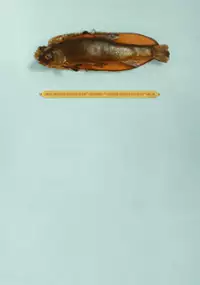 Plakat filmu Fish Story