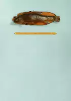 plakat filmuFish Story