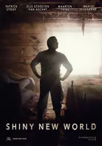 Plakat filmu Shiny New World