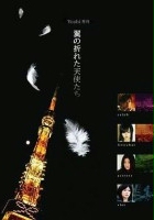 plakat filmu Tsubasa no Oreta Tenshitachi