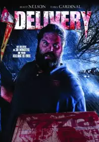 Plakat filmu Delivery
