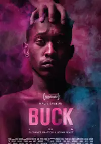Plakat filmu Buck