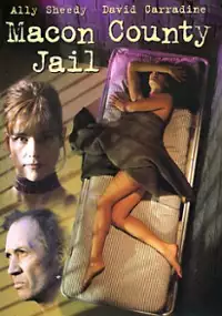 Plakat filmu Ucieczka przed prawem