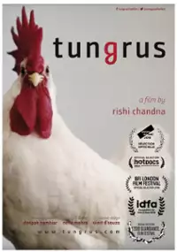 Plakat filmu Tungrus