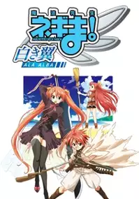 Plakat serialu Mahō Sensei Negima! ~Shiroki Tsubasa Ala Alba~