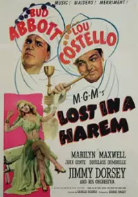 Plakat filmu Zagubieni w haremie