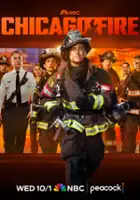 plakat - Chicago Fire (2012)