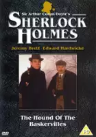 plakat filmu Pies Baskerville'&oacute;w