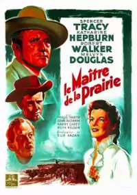Plakat filmu Morze traw