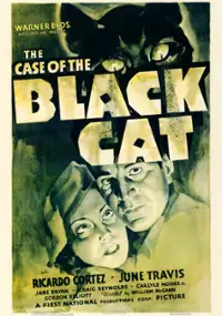 Plakat filmu The Case of the Black Cat
