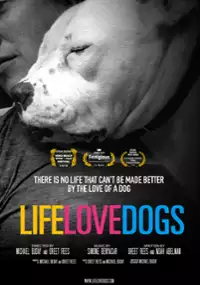 Plakat filmu Life Love Dogs