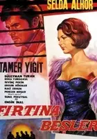plakat filmu Firtina besler