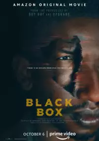 Plakat filmu Black Box