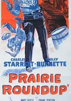 plakat filmu Prairie Roundup