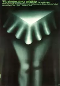 Plakat filmu W krainie pieczonych gołąbków