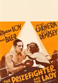 Plakat filmu Bokser i dama