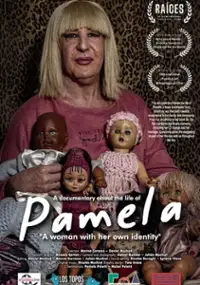 Plakat filmu Pamela