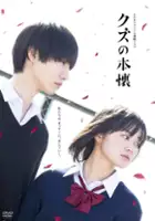 D&ocirc;ri Sakurada / Kuzu no Honkai